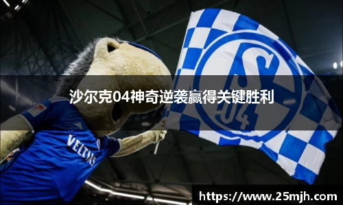 沙尔克04神奇逆袭赢得关键胜利