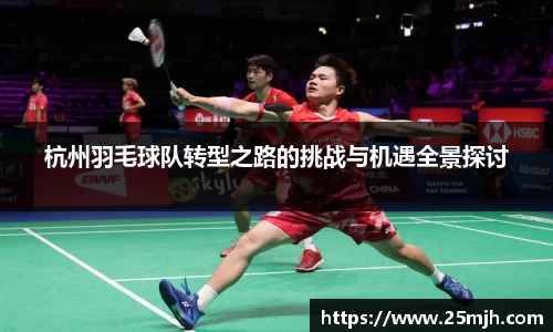 杭州羽毛球队转型之路的挑战与机遇全景探讨